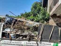 Best Same-Day Junk Removal Services  in St Anthony, MN