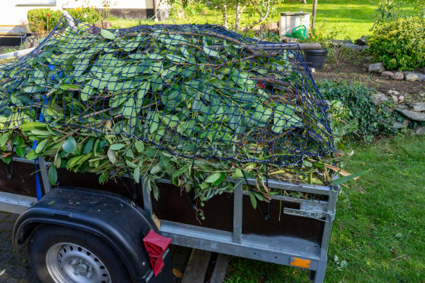 Best Recycling Services for Junk  in St Anthony, MN